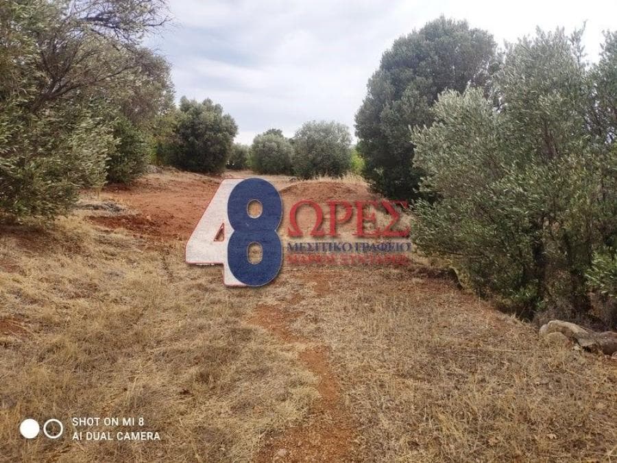 Οικόπεδο στην Άγιος Μηνάς, Χίος — Φωτογραφία 14 από 24