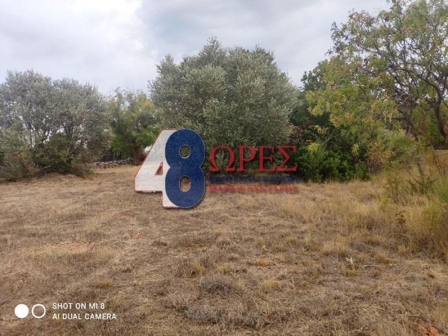 Οικόπεδο στην Άγιος Μηνάς, Χίος — Φωτογραφία 15 από 24