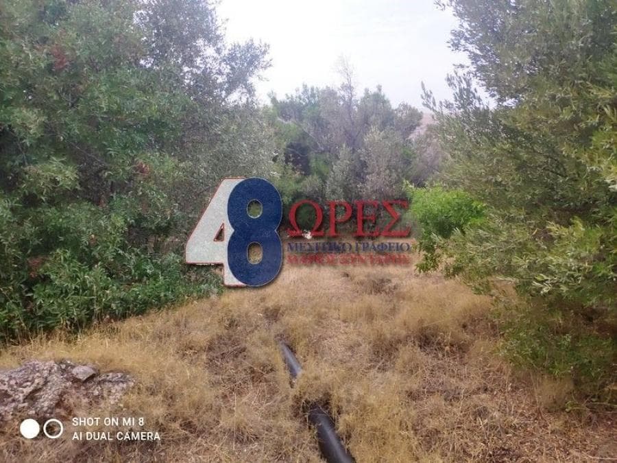 Οικόπεδο στην Άγιος Μηνάς, Χίος — Φωτογραφία 16 από 24