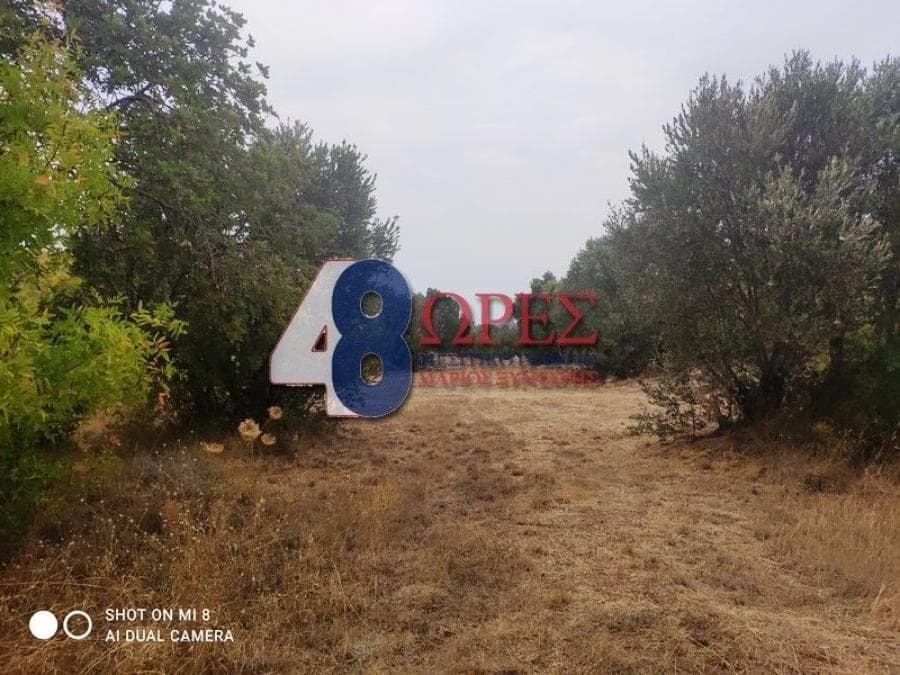 Οικόπεδο στην Άγιος Μηνάς, Χίος — Φωτογραφία 18 από 24
