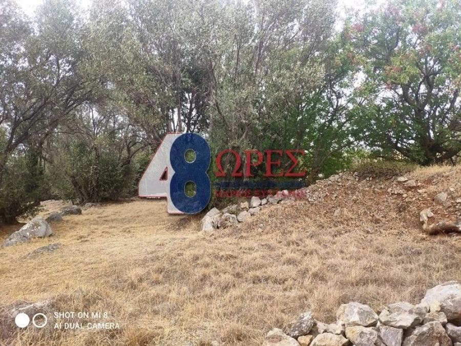 Οικόπεδο στην Άγιος Μηνάς, Χίος — Φωτογραφία 19 από 24
