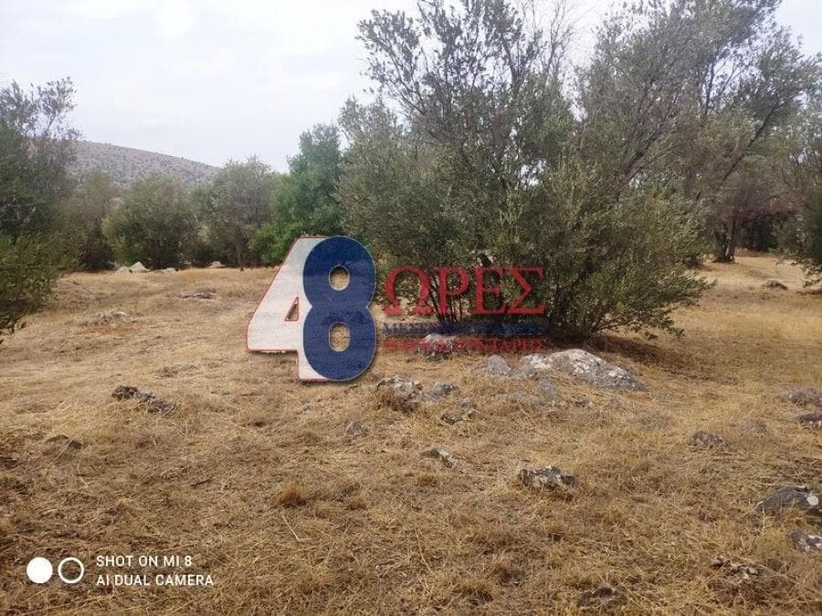 Οικόπεδο στην Άγιος Μηνάς, Χίος — Φωτογραφία 20 από 24