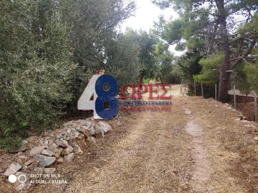 Οικόπεδο στην Άγιος Μηνάς, Χίος — Φωτογραφία 21 από 24