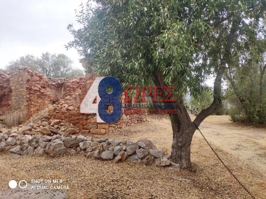 Οικόπεδο στην Άγιος Μηνάς, Χίος — Φωτογραφία 23 από 24