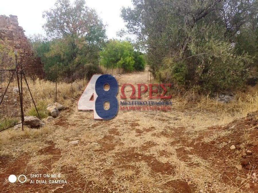 Οικόπεδο στην Άγιος Μηνάς, Χίος — Φωτογραφία 4 από 24