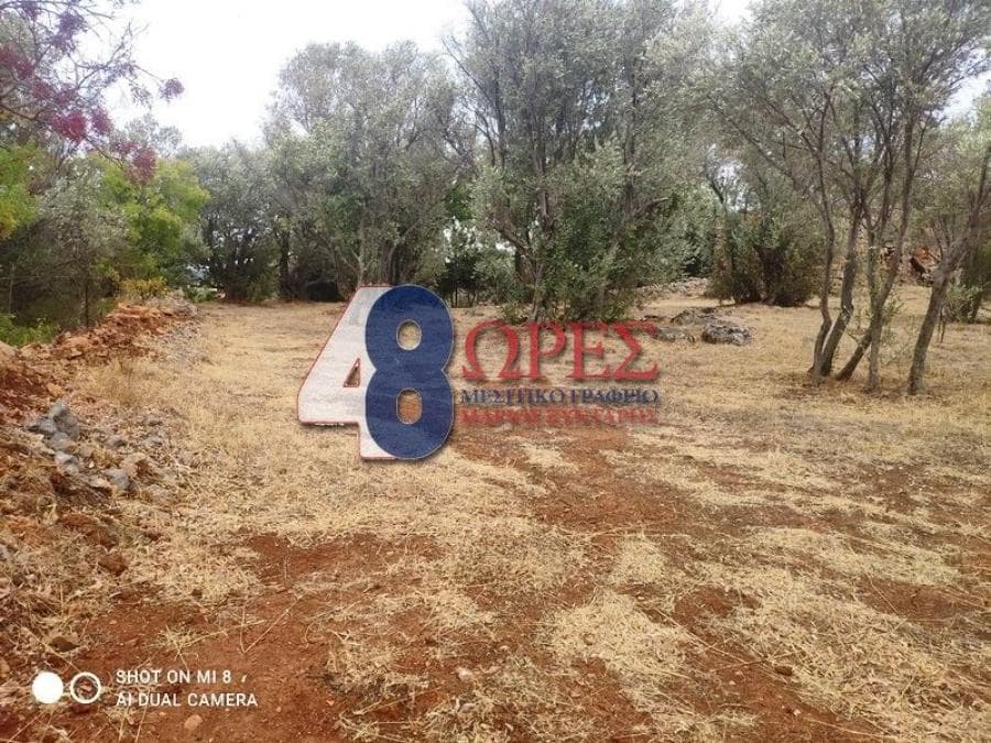Οικόπεδο στην Άγιος Μηνάς, Χίος — Φωτογραφία 5 από 24