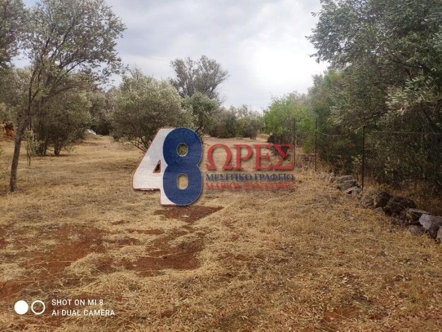 Οικόπεδο στην Άγιος Μηνάς, Χίος — Φωτογραφία 7 από 24