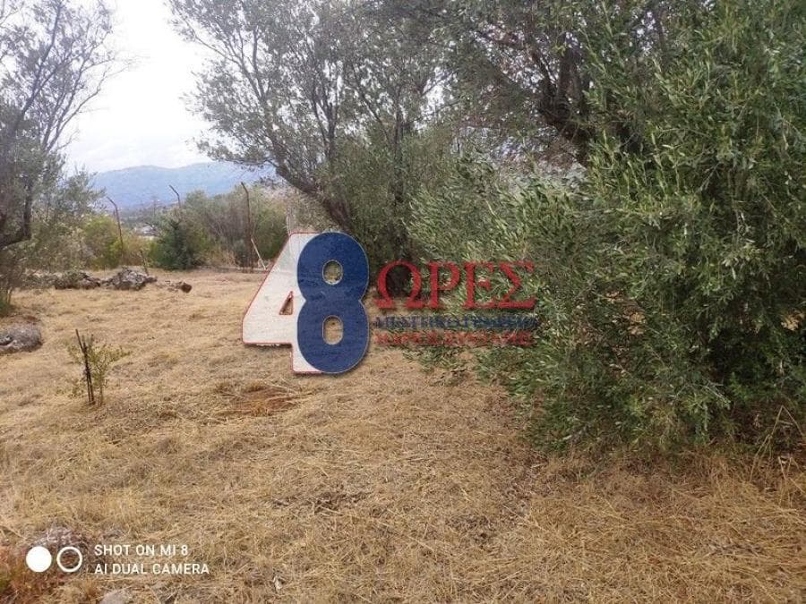 Οικόπεδο στην Άγιος Μηνάς, Χίος — Φωτογραφία 8 από 24