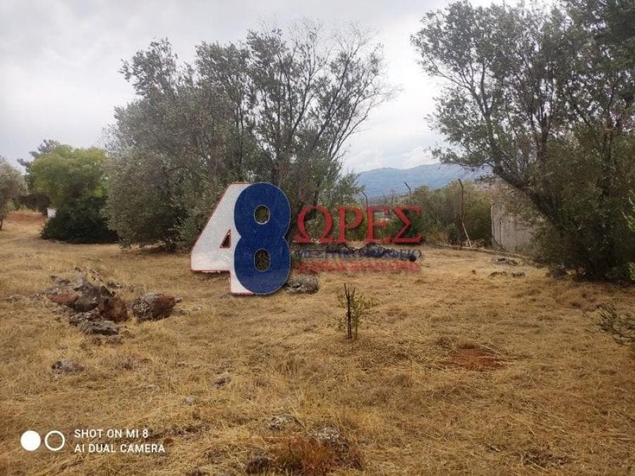 Οικόπεδο στην Άγιος Μηνάς, Χίος — Φωτογραφία 9 από 24