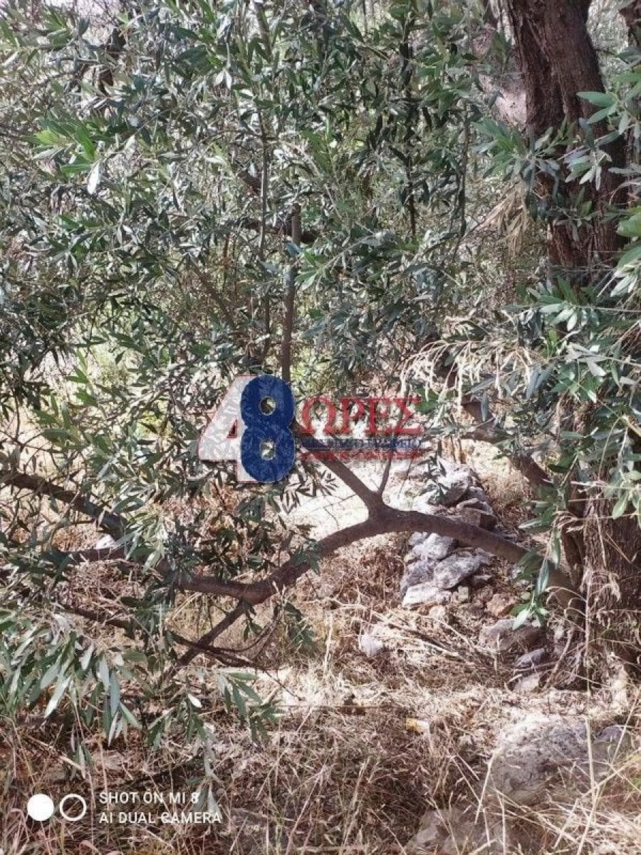 Οικόπεδο στην Πόλη Χίου, Χίος — Φωτογραφία 6 από 8