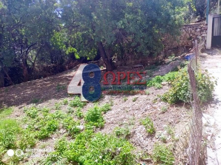 Οικόπεδο στην Πόλη Χίου, Χίος — Φωτογραφία 3 από 13