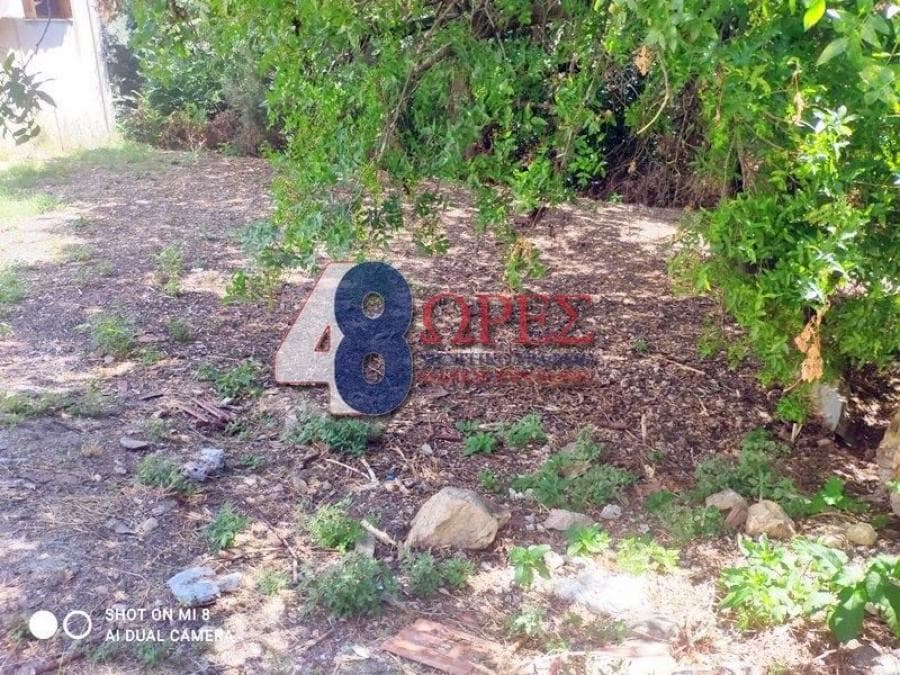 Οικόπεδο στην Πόλη Χίου, Χίος — Φωτογραφία 8 από 13