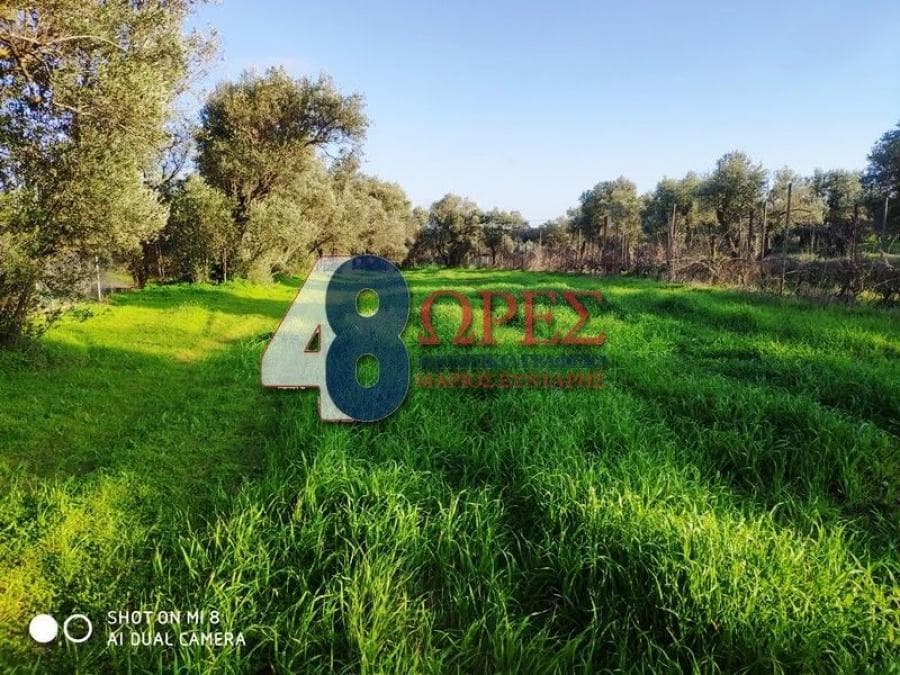 Αγροτεμάχιο στην Άγιος Μηνάς, Χίος — Φωτογραφία 2 από 7