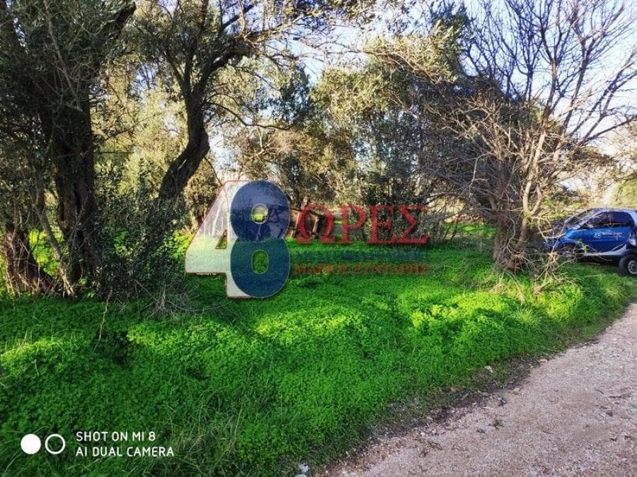 Αγροτεμάχιο στην Άγιος Μηνάς, Χίος — Φωτογραφία 4 από 7