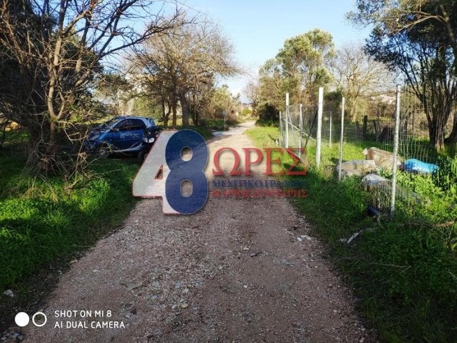 Αγροτεμάχιο στην Άγιος Μηνάς, Χίος — Φωτογραφία 5 από 7