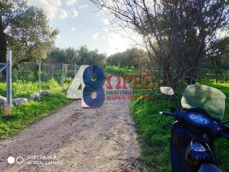 Αγροτεμάχιο στην Άγιος Μηνάς, Χίος — Φωτογραφία 7 από 7