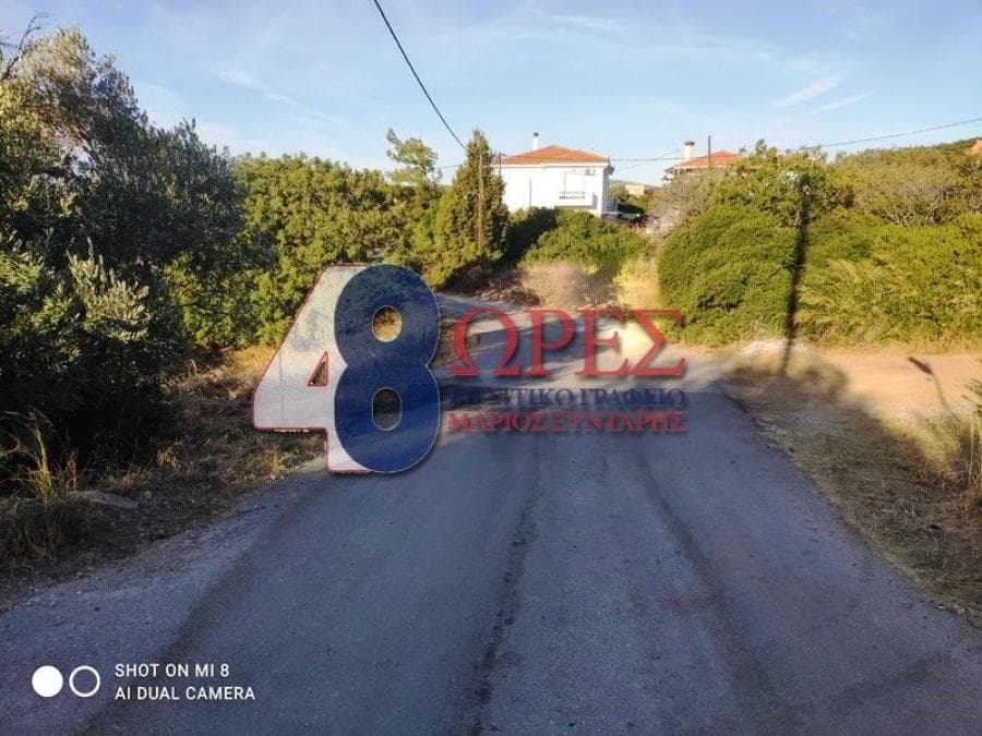 Οικόπεδο στην Άγιος Μηνάς, Χίος — Φωτογραφία 4 από 6