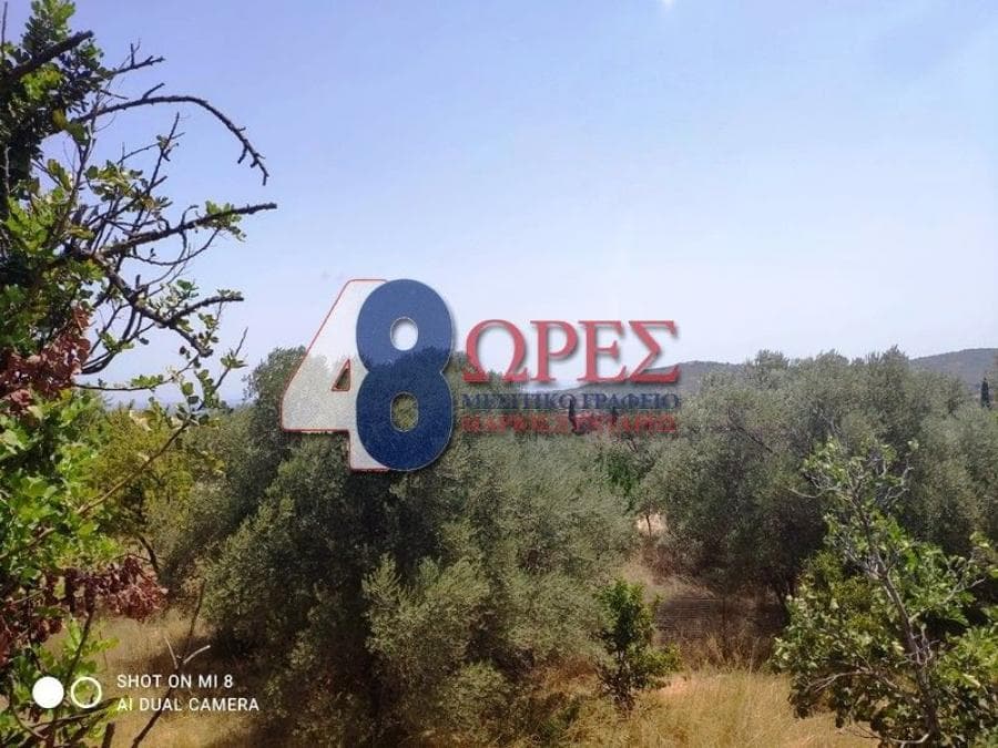 Οικόπεδο στην Άγιος Μηνάς, Χίος — Φωτογραφία 2 από 25