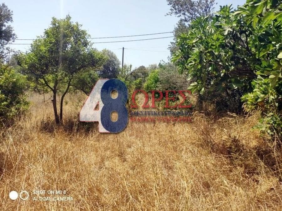 Οικόπεδο στην Άγιος Μηνάς, Χίος — Φωτογραφία 5 από 25