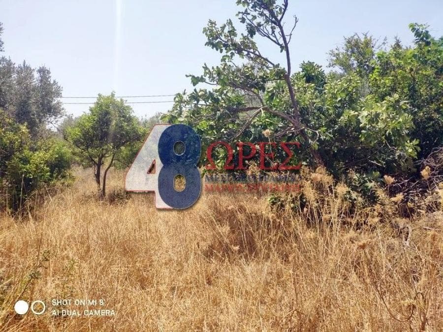 Οικόπεδο στην Άγιος Μηνάς, Χίος — Φωτογραφία 6 από 25