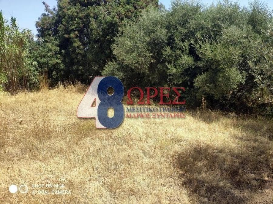 Οικόπεδο στην Άγιος Μηνάς, Χίος — Φωτογραφία 8 από 25