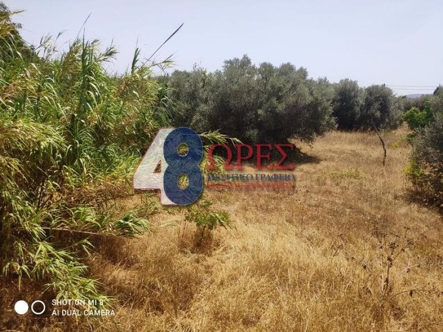 Οικόπεδο στην Άγιος Μηνάς, Χίος — Φωτογραφία 1 από 7