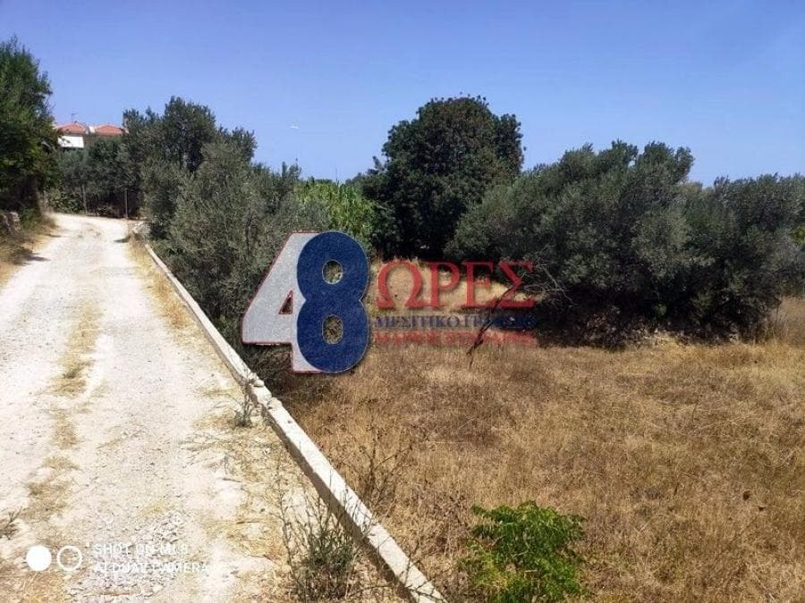Οικόπεδο στην Άγιος Μηνάς, Χίος — Φωτογραφία 4 από 7
