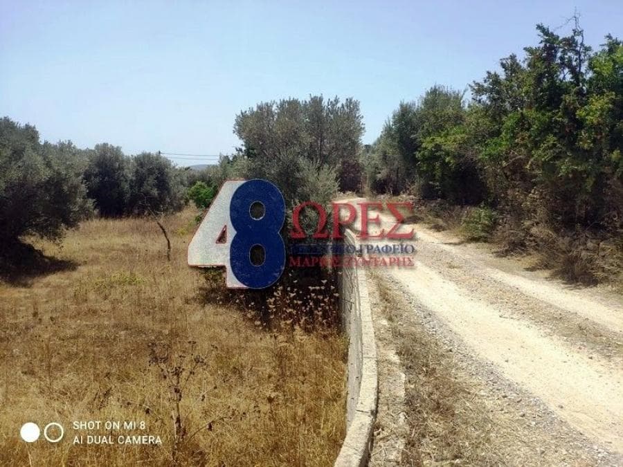 Οικόπεδο στην Άγιος Μηνάς, Χίος — Φωτογραφία 7 από 7