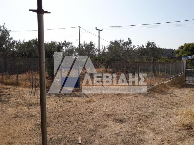 Οικόπεδο στην Αμάνη, Χίος — Φωτογραφία 1 από 3