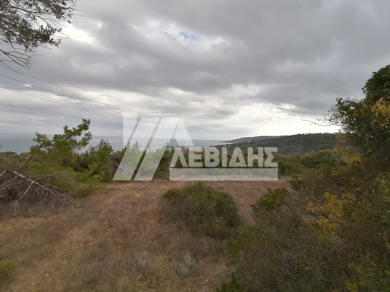 Οικόπεδο στην Ιωνία, Χίος — Φωτογραφία 1 από 4