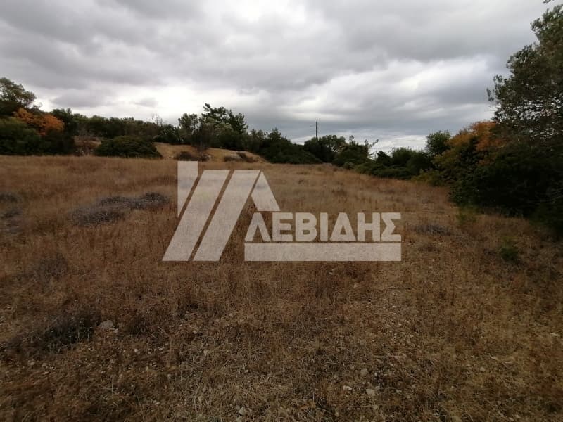Οικόπεδο στην Ιωνία, Χίος — Φωτογραφία 3 από 4