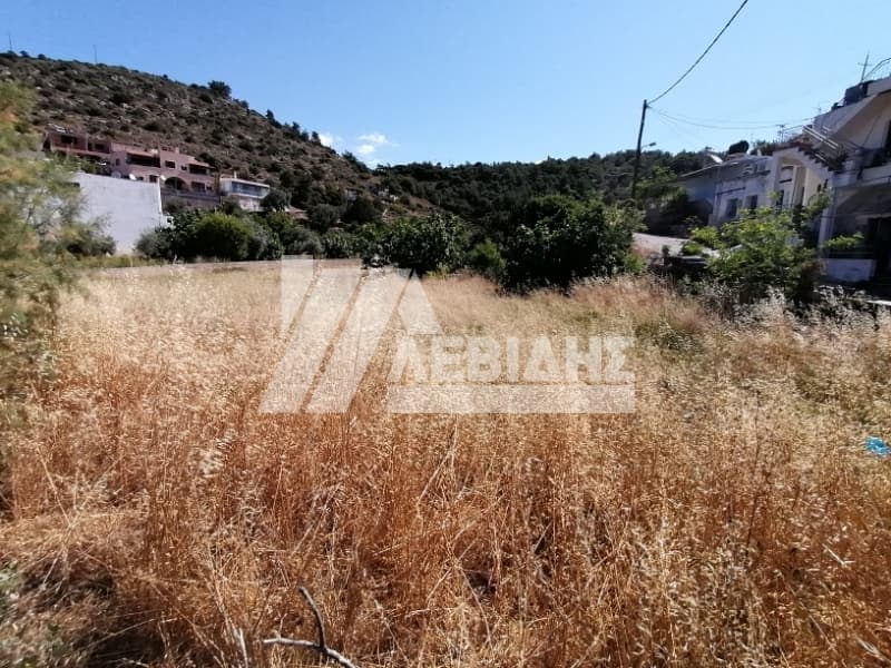 Οικόπεδο στην Μαστιχοχώρια, Χίος — Φωτογραφία 5 από 7