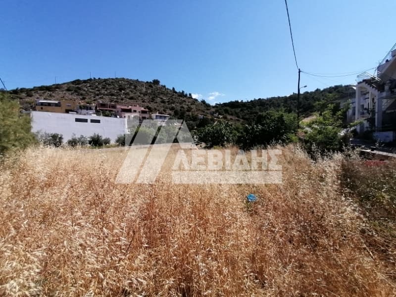 Οικόπεδο στην Μαστιχοχώρια, Χίος — Φωτογραφία 7 από 7