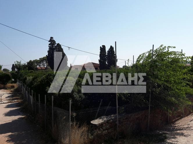 Μονοκατοικία στην Άγιος Μηνάς, Χίος — Φωτογραφία 7 από 9
