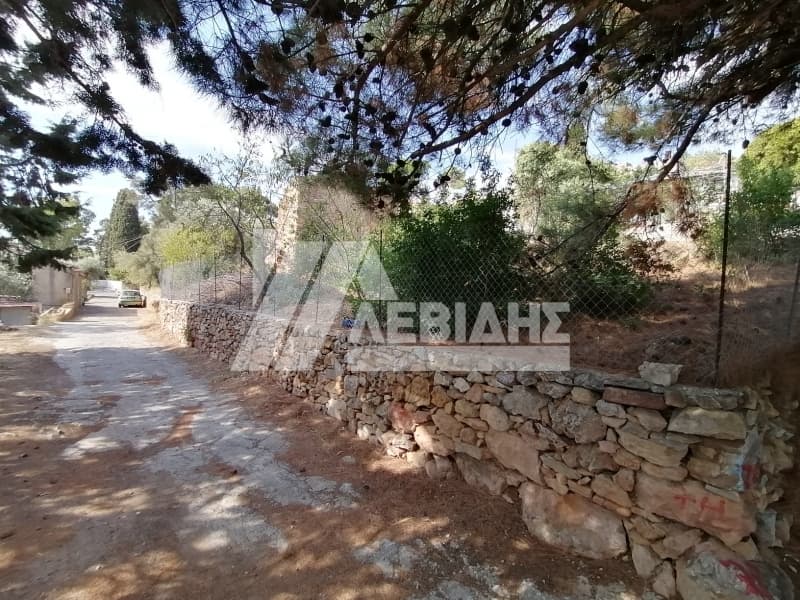 Οικόπεδο στην Άγιος Μηνάς, Χίος — Φωτογραφία 4 από 4