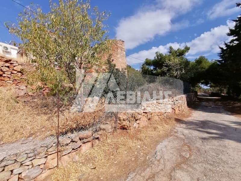 Οικόπεδο στην Άγιος Μηνάς, Χίος — Φωτογραφία 2 από 4