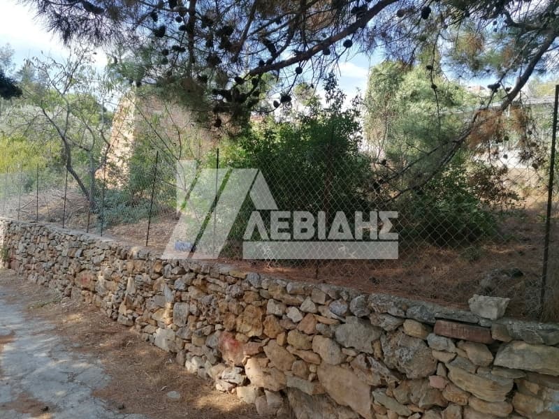 Οικόπεδο στην Άγιος Μηνάς, Χίος — Φωτογραφία 3 από 4