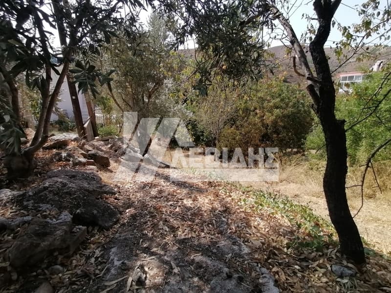 Οικόπεδο στην Πόλη Χίου, Χίος — Φωτογραφία 3 από 3