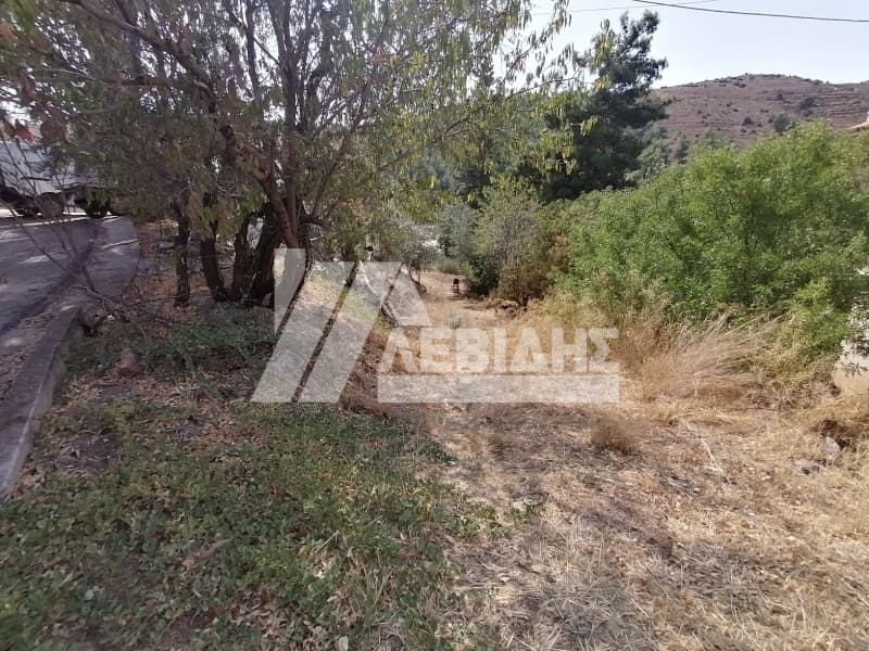 Οικόπεδο στην Πόλη Χίου, Χίος — Φωτογραφία 2 από 3