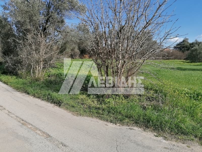 Οικόπεδο στην Άγιος Μηνάς, Χίος — Φωτογραφία 2 από 8