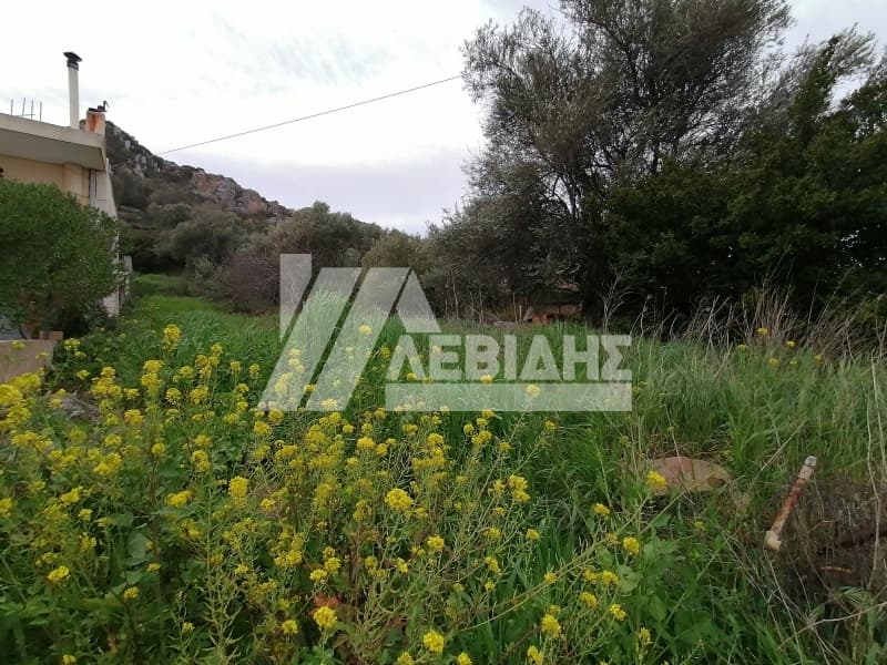Οικόπεδο στην Ιωνία, Χίος — Φωτογραφία 1 από 2