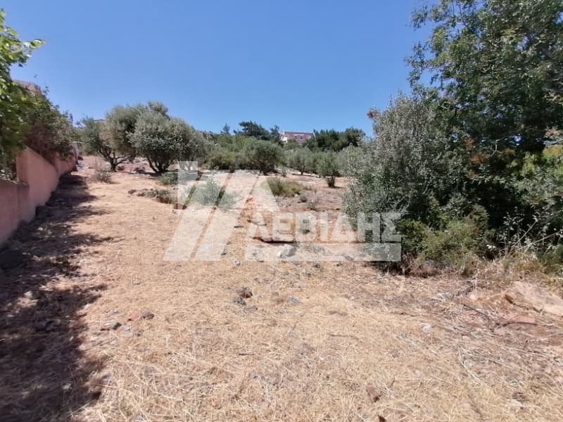 Οικόπεδο στην Πόλη Χίου, Χίος — Φωτογραφία 3 από 5