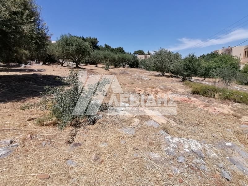 Οικόπεδο στην Πόλη Χίου, Χίος — Φωτογραφία 1 από 5
