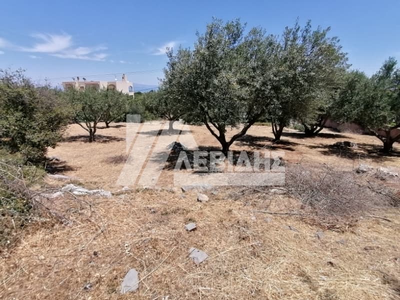 Οικόπεδο στην Πόλη Χίου, Χίος — Φωτογραφία 4 από 5