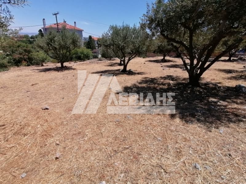 Οικόπεδο στην Πόλη Χίου, Χίος — Φωτογραφία 5 από 5