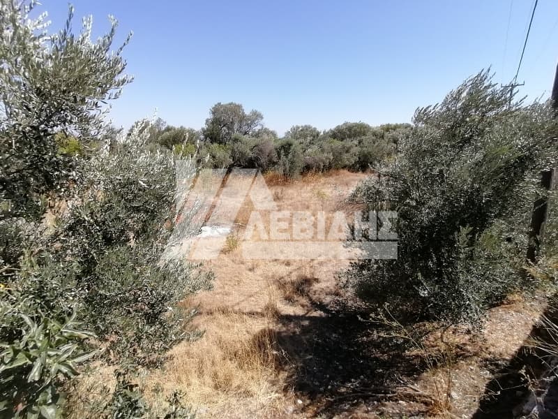 Οικόπεδο στην Πόλη Χίου, Χίος — Φωτογραφία 2 από 5