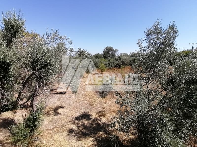 Οικόπεδο στην Πόλη Χίου, Χίος — Φωτογραφία 1 από 5