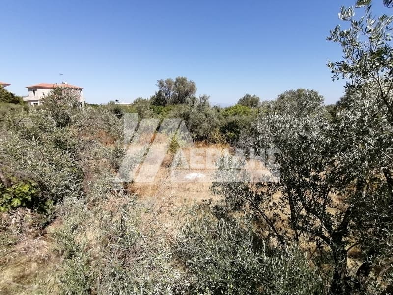 Οικόπεδο στην Πόλη Χίου, Χίος — Φωτογραφία 3 από 5