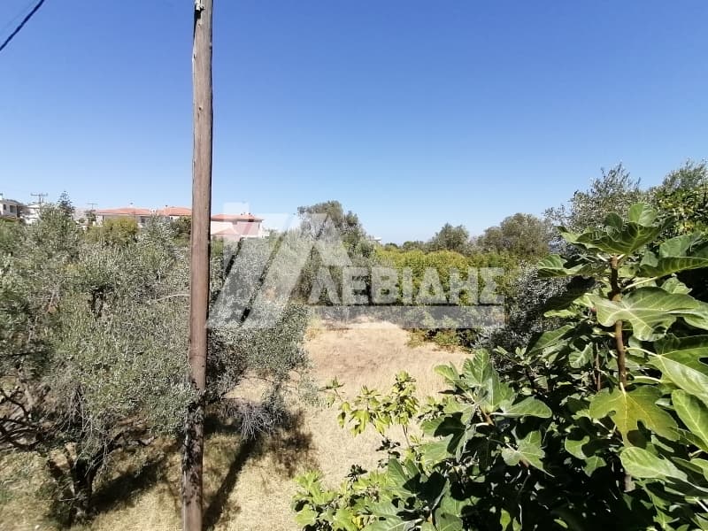 Οικόπεδο στην Πόλη Χίου, Χίος — Φωτογραφία 4 από 5