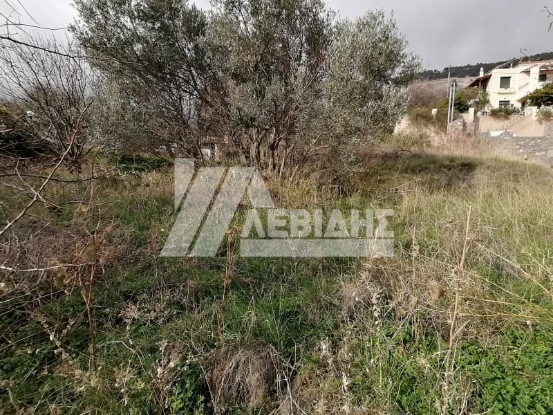 Οικόπεδο στην Πόλη Χίου, Χίος — Φωτογραφία 4 από 4
